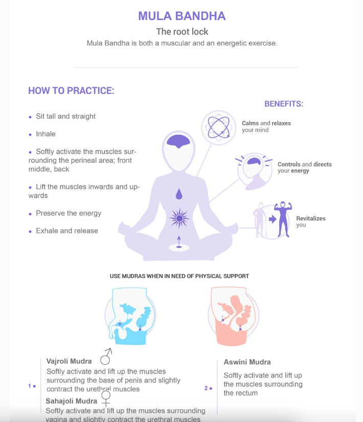 Anatomi og diagrammer
